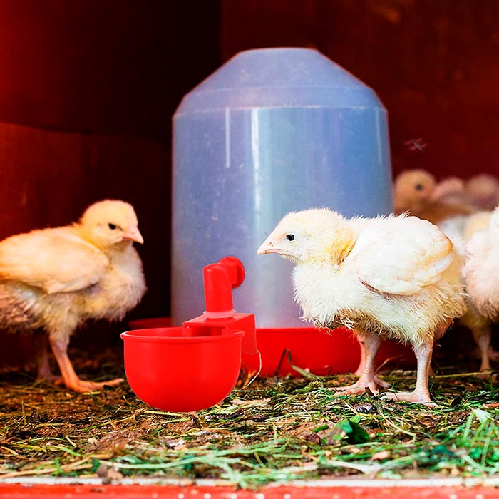 ChickenBowl, napajalnik za kokoši in ostalo perutnino (6 kosov) - Image 7
