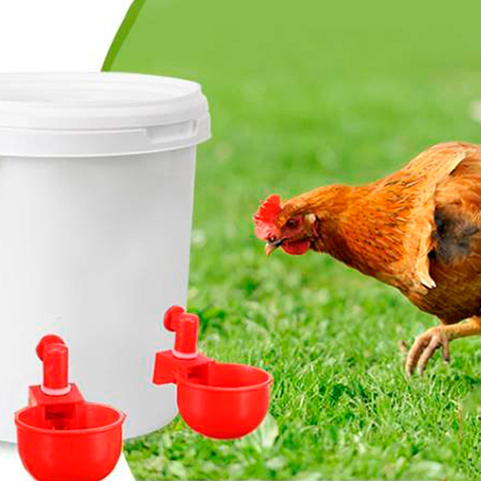 ChickenBowl, napajalnik za kokoši in ostalo perutnino (6 kosov) - Image 8