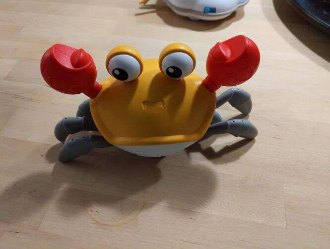 CrawlingCrab, interaktivna rakovica, ki se premakne, ko se ji približate - Image 1