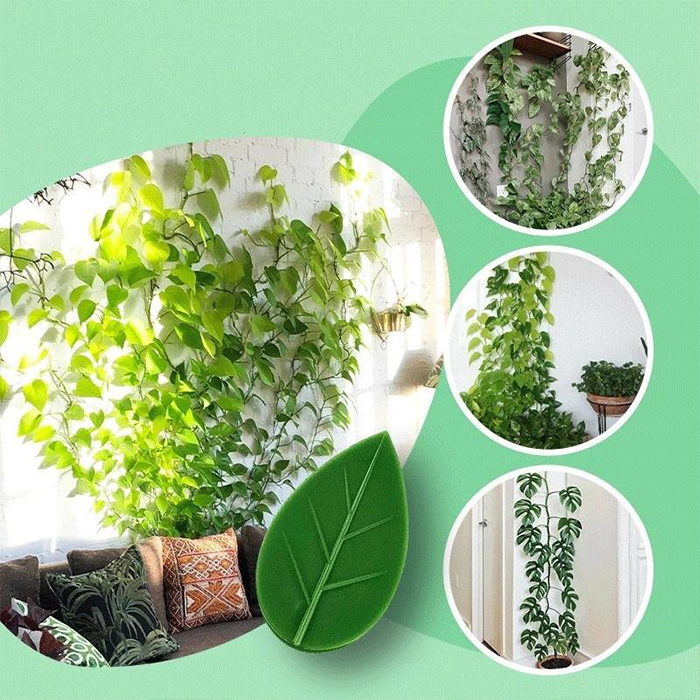 FixtureClips, 10+10 GRATIS samolepilna držala za veje rastlin - brez vrtanja! - Image 6