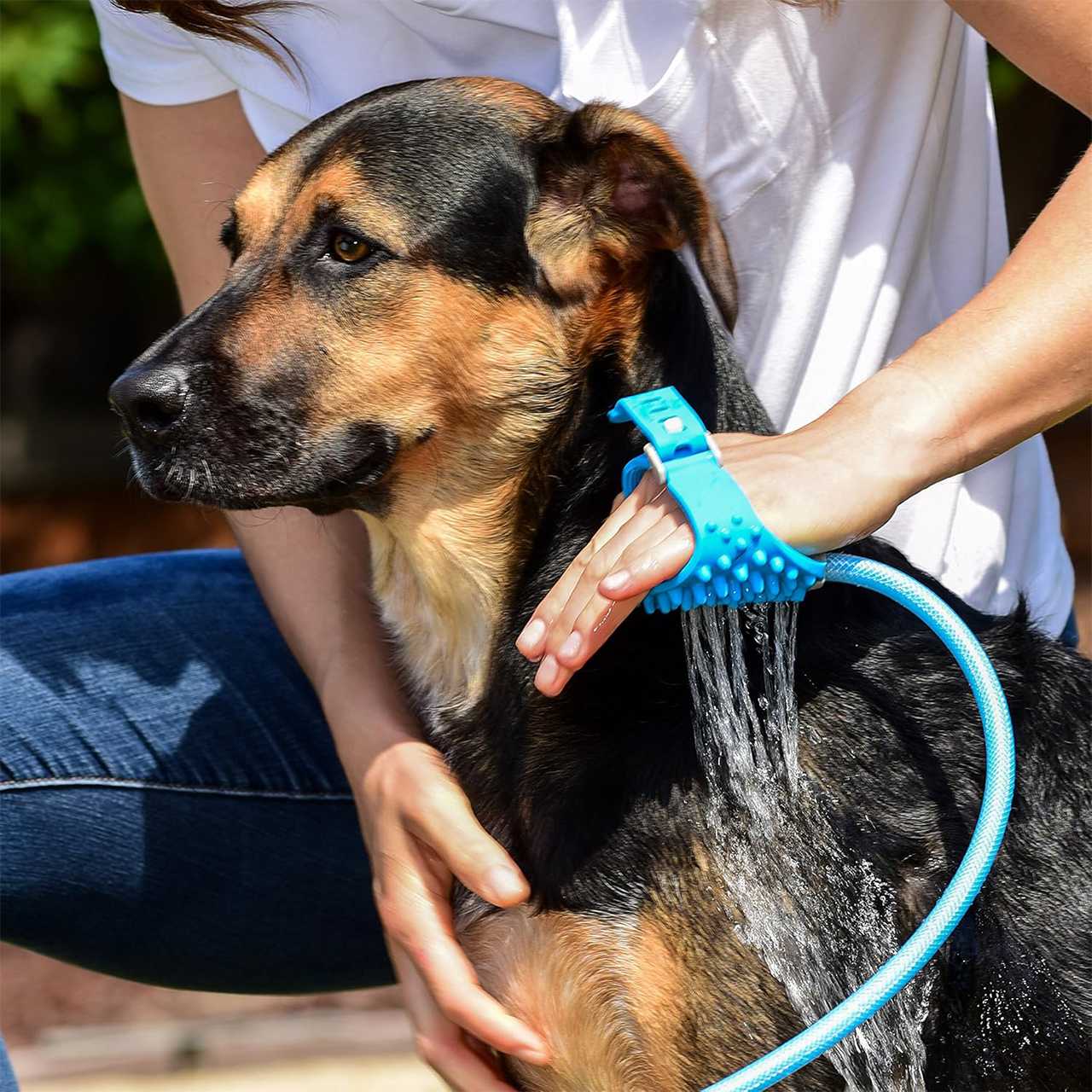 PawBath, večnamenska masažna krtača za kopanje hišnih ljubljenčkov - Image 2
